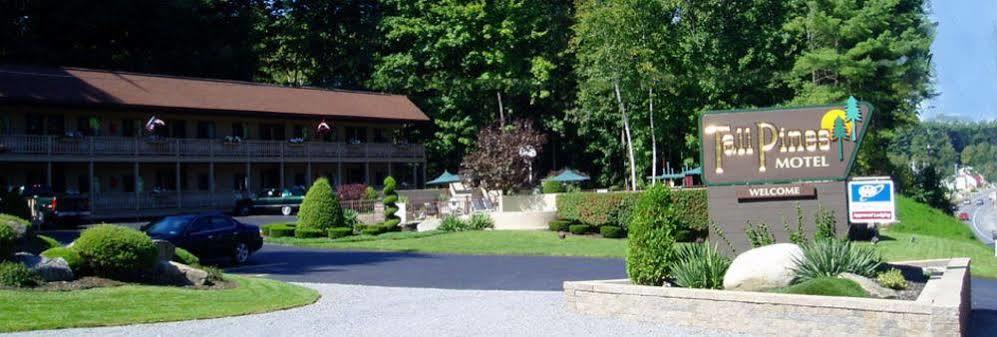 Tall Pines Motel Lake George Exterior photo